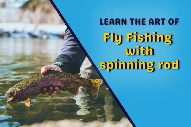 learn how to Fly Fishing with spinning