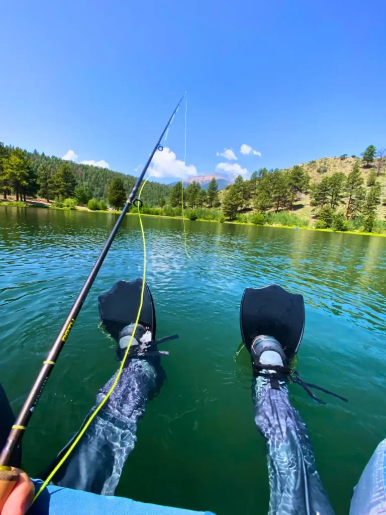 Fly rods are longer than other fishing rods and range from 7 to 9 feet in length.