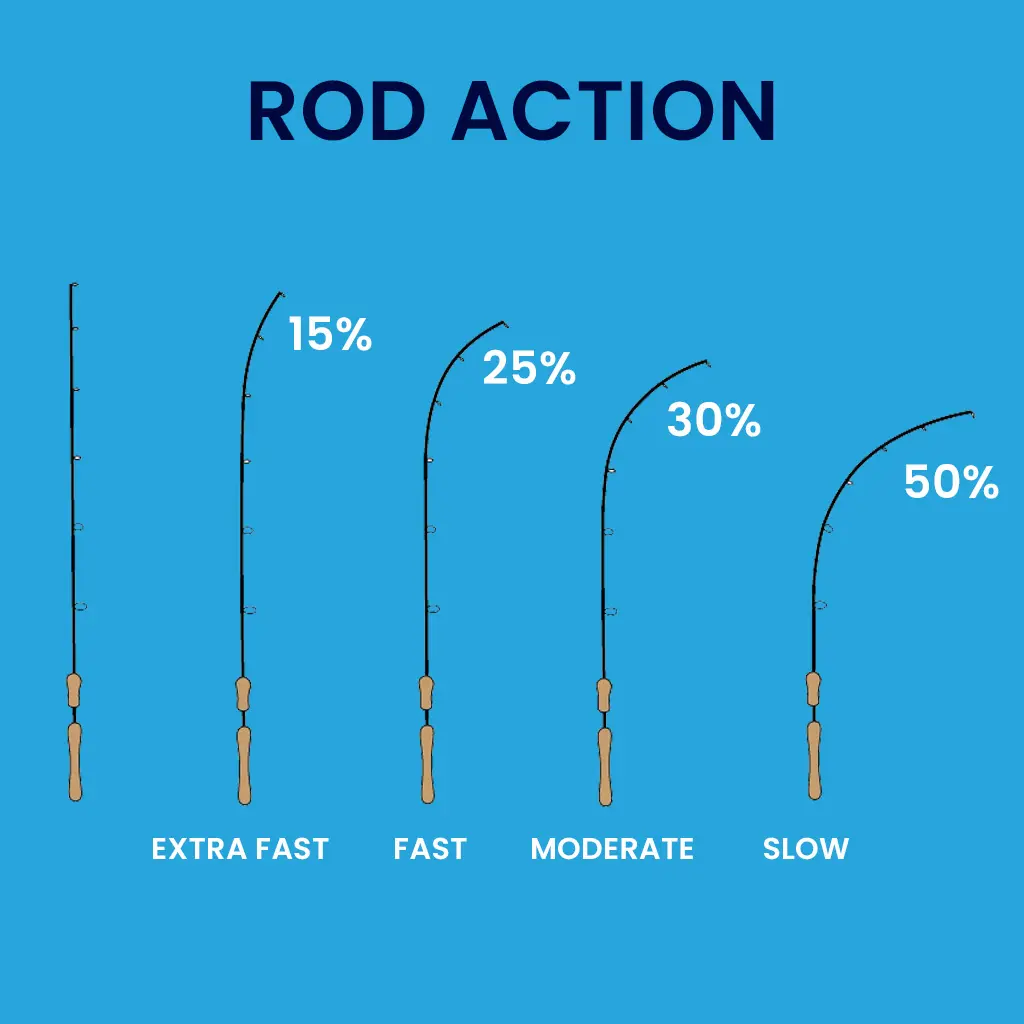 Rod Action explained, 
Extra fast, Fast, Moderate and slow