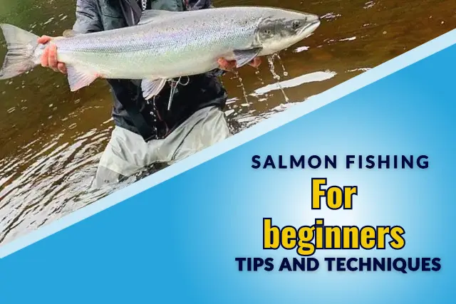 Salmon fishing for beginners: Tips and Techniques