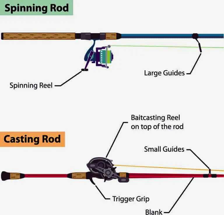 difference between a spinning rod and a casting rod