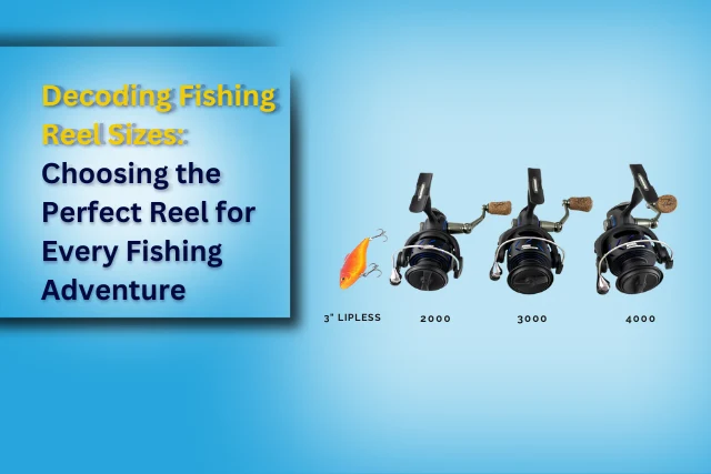 Decoding Fishing Reel Sizes Choosing the Perfect Reel for Every Fishing Adventure detailed guide