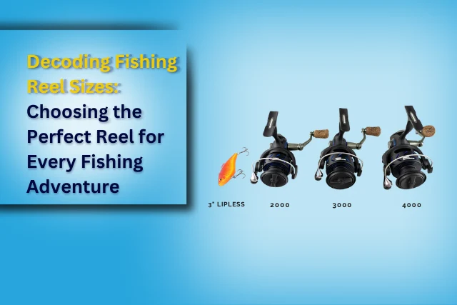 Spinning Reel Size Chart Comparison How To Choose Guide
