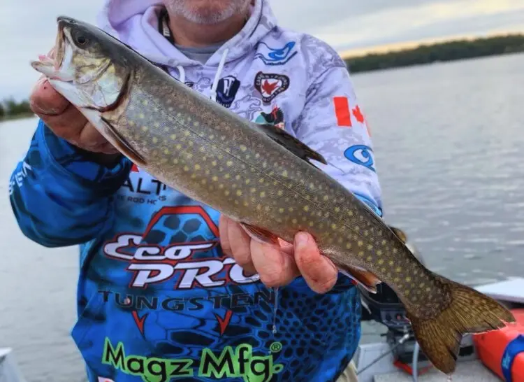 Trout Fishing With Powerbait: Real Users And Guides Advice