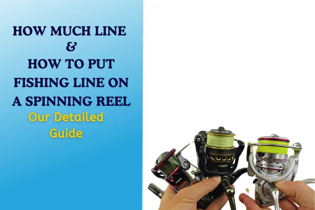 how much Line & how to put fishing line on spinning reel our detailed guide