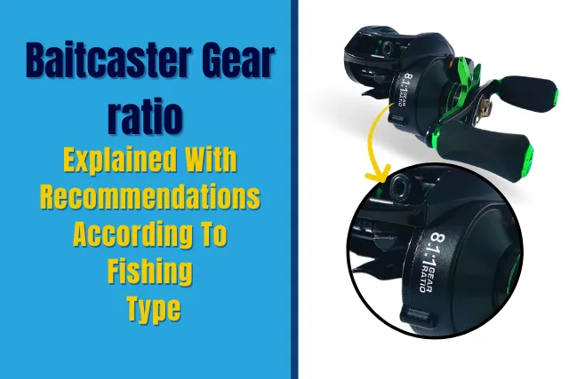 Baitcaster Gear ratio Explained With Recommendations According To Fishing Type