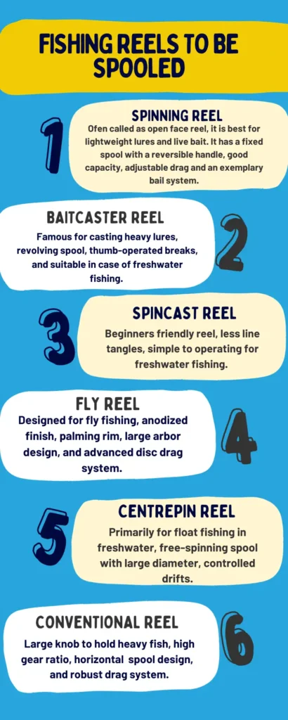 fishing reels type to be spooled infographic