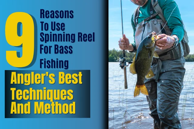 9 reasons to use spinning reel for bass fishing, Angler's Best Techniques & method detailed guide