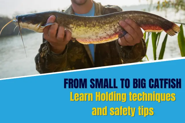 From small to big catfish, Learn Holding techniques, safety tips and what to do if finned.