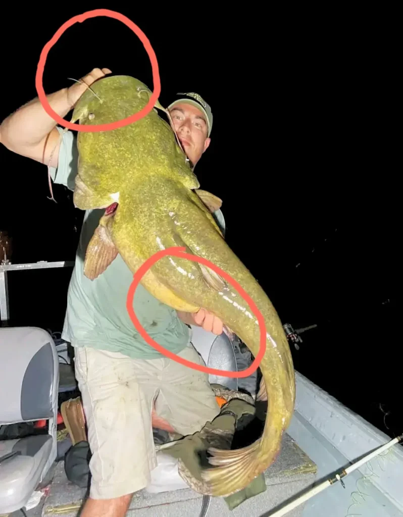 A man holding a big catfish