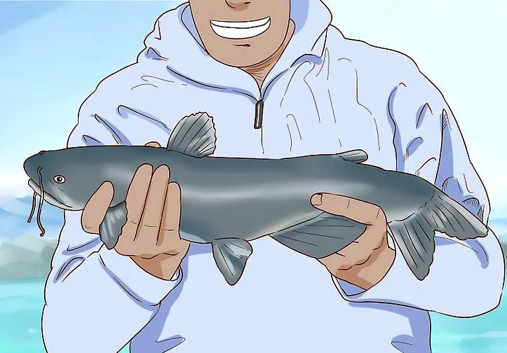 handling a larger or heavier catfish, it's a good idea to use both hands for support