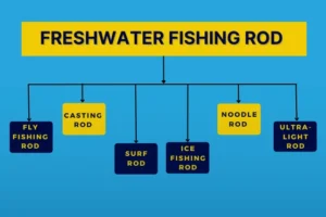 FRESHWATER-FISHING-ROD-1