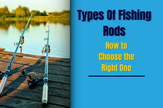 Types Of Fishing Rods How to Choose the Right One Detailed Guide For Begginers