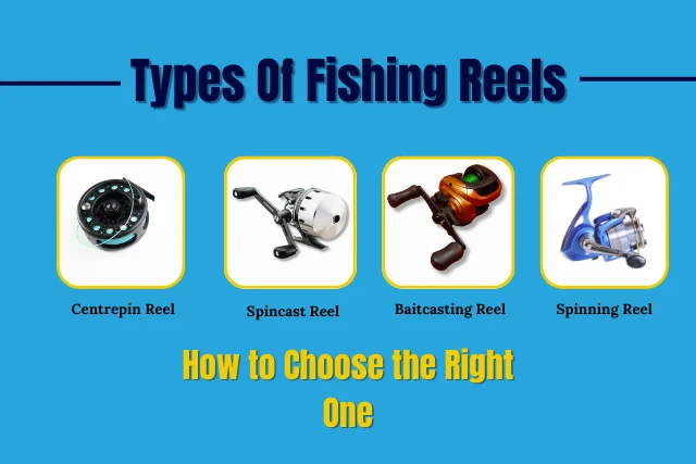 A Detailed Guide on Types of Fishing Reels and How to Choose the Right One