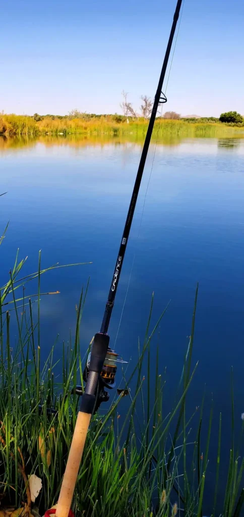 Spinning rod known for Versatility
